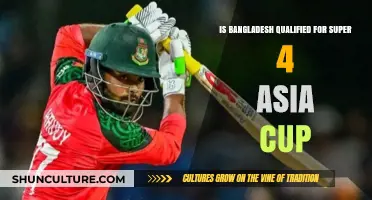 Bangladesh's Asia Cup Journey: Super 4 Qualification Status Revealed