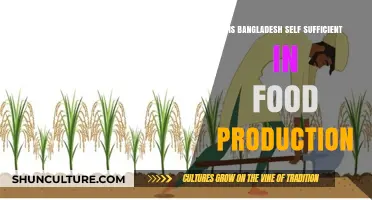 Bangladesh's Food Self-Sufficiency: Achievements, Challenges, and Future Prospects