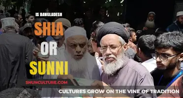 Bangladesh's Islamic Identity: Shia or Sunni Dominance Explored
