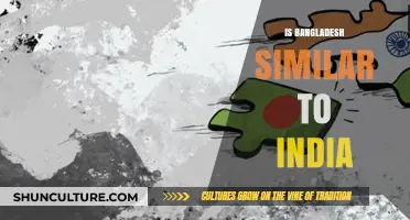 Exploring Cultural, Historical, and Social Similarities Between Bangladesh and India