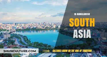 Is Bangladesh in South Asia? Exploring Its Geographic and Cultural Identity