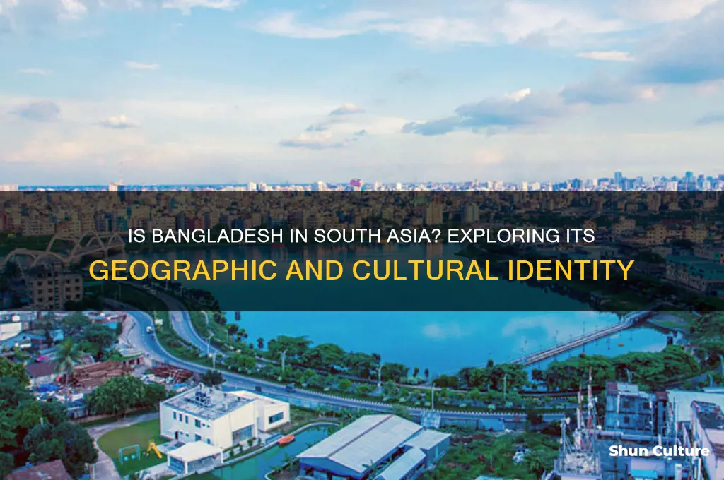 is bangladesh south asia