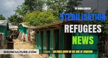 Bangladesh Sterilization Allegations: Unraveling the Refugee Crisis Controversy