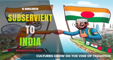 Is Bangladesh Subservient to India? Analyzing Political and Economic Dynamics