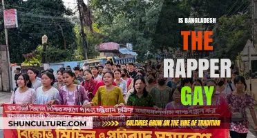 Exploring Bangladesh the Rapper's Sexuality: Facts vs. Speculations