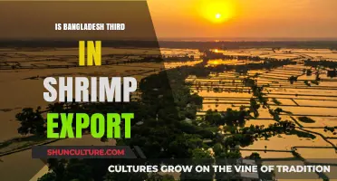 Bangladesh's Shrimp Export Rank: Third Place Global Leader?