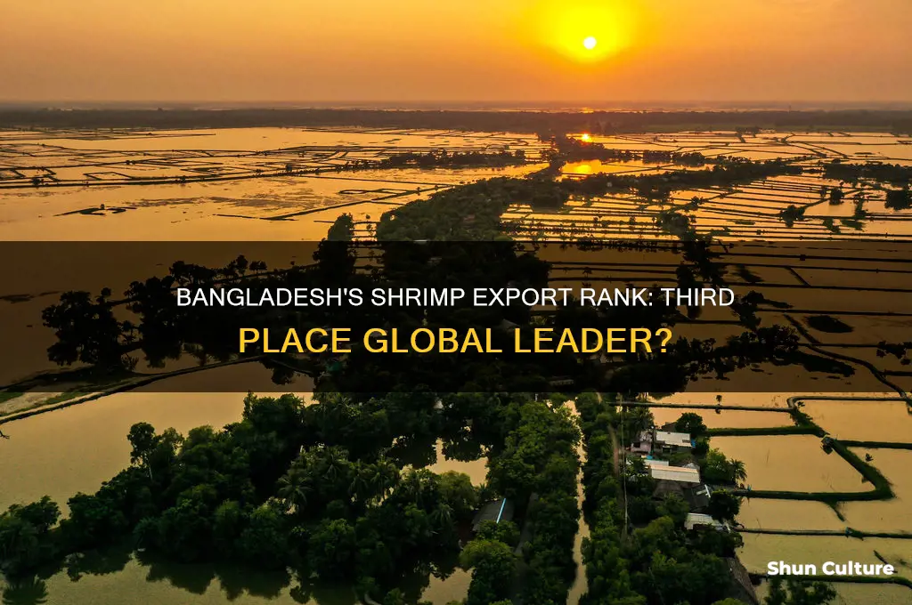 is bangladesh third in shrimp export