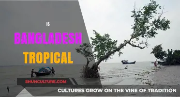 Exploring Bangladesh's Climate: Is It Truly a Tropical Paradise?