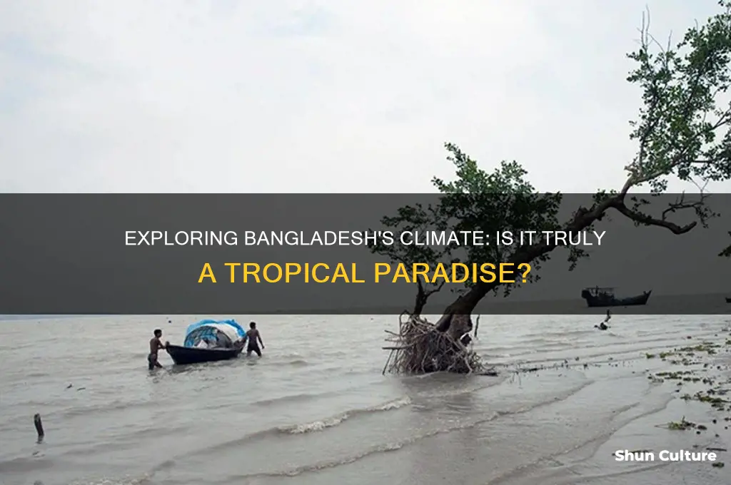 is bangladesh tropical