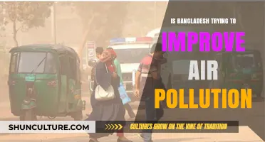 Bangladesh's Efforts to Combat Air Pollution: Progress and Challenges