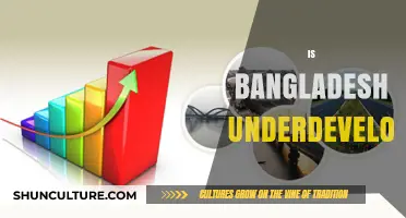 Is Bangladesh Underdeveloped? Exploring Economic Growth and Challenges