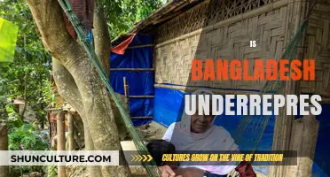 Is Bangladesh Underrated? Exploring Its Global Representation and Potential