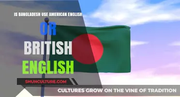 American or British English: Which Does Bangladesh Favor in Writing?