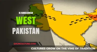Bangladesh and West Pakistan: Historical Connection or Separate Identities?