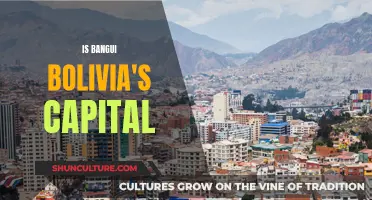 Exploring Bolivia's Capital: Is It Sucre or Bangui?