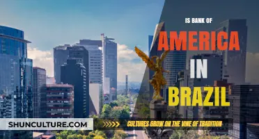 Exploring Bank of America's Presence in Brazil: Facts and Insights