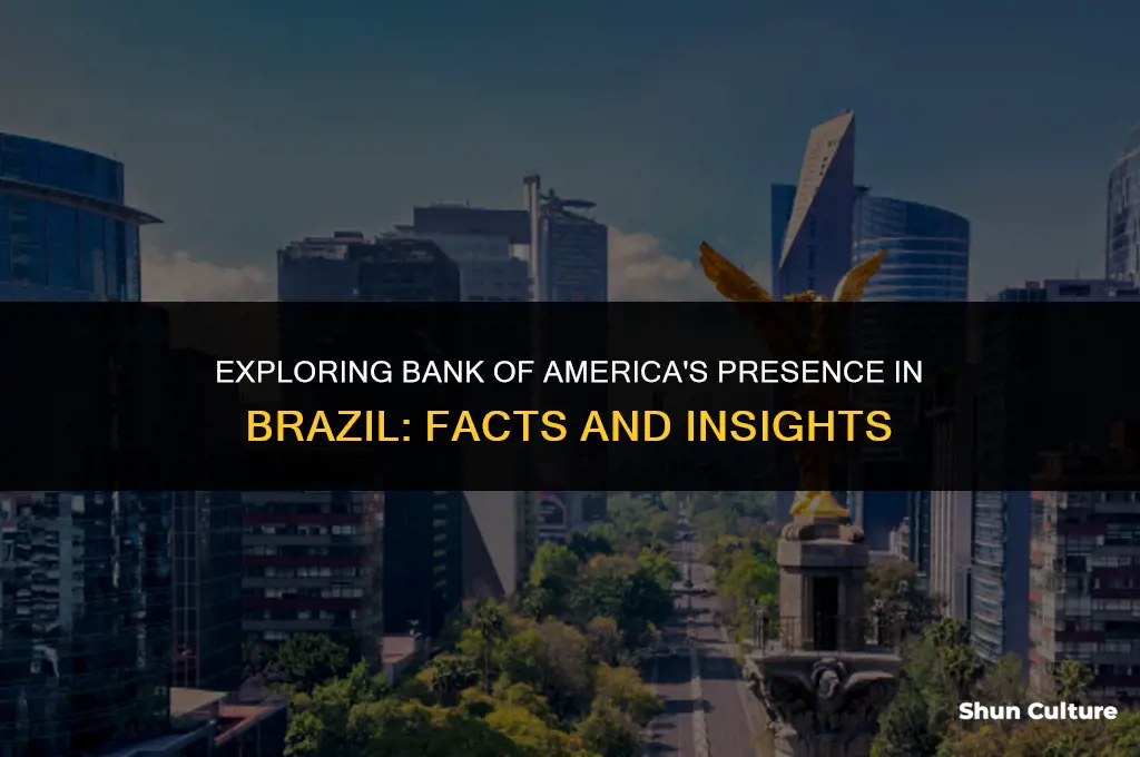 is bank of america in brazil