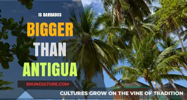 Barbados vs. Antigua: Comparing the Size of These Caribbean Islands