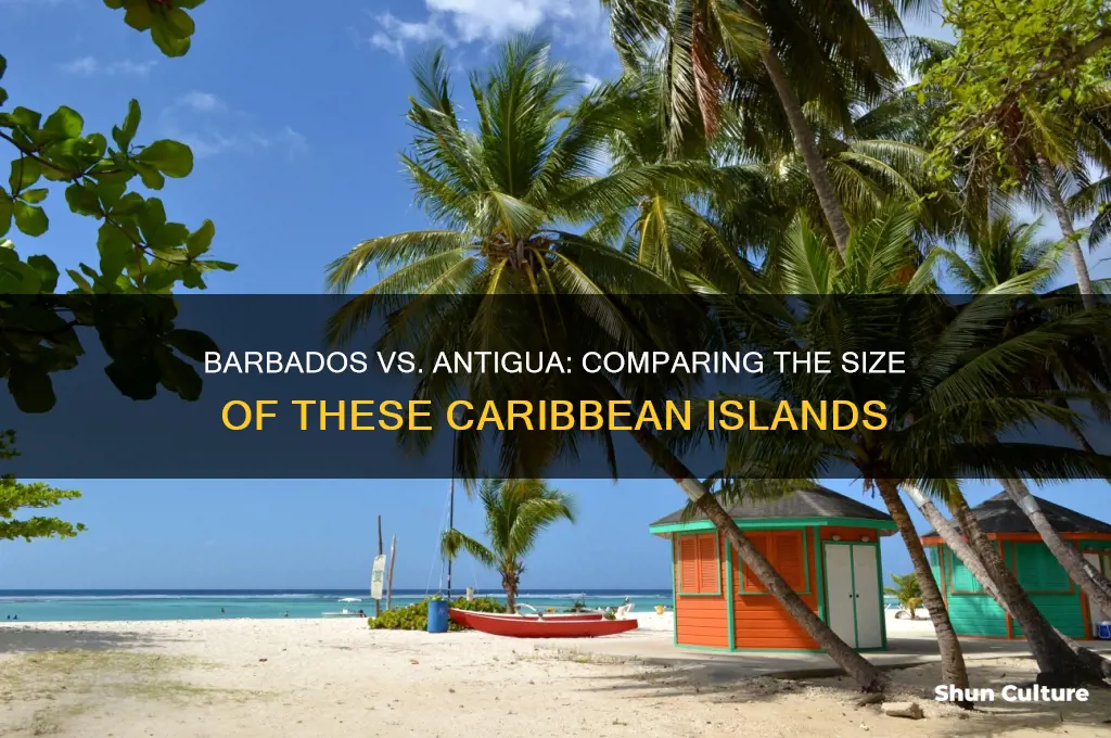 is barbados bigger than antigua