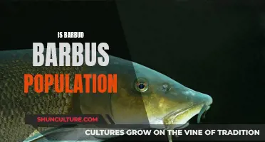 Barbodes: Population and Conservation Efforts for Unique Fish Species