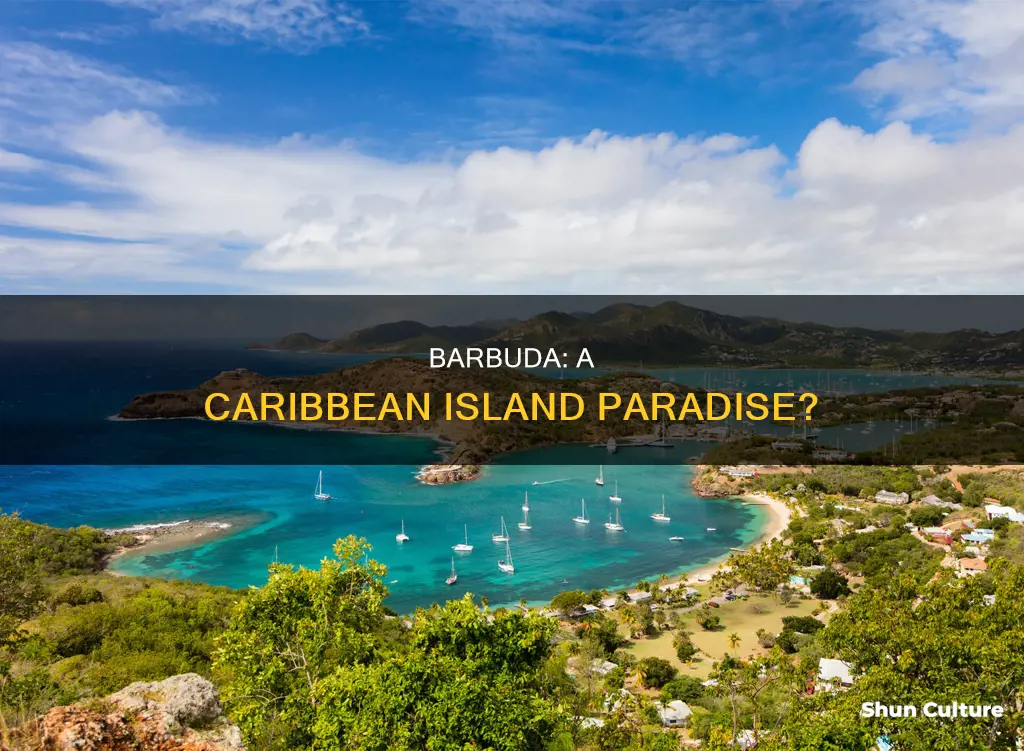 is barbuda a caribbean island