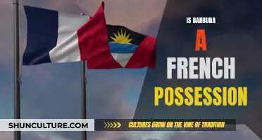 Barbuda's French Possession Status: A Historical Inquiry