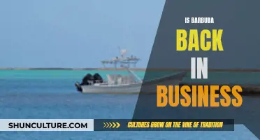 Barbuda's Resurgence: Back and Better Than Ever