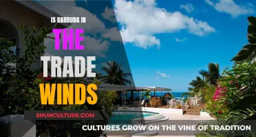 Barbuda's Trade Winds: A Tropical Paradise's Weather Secret