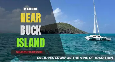 Barbuda and Buck Island: Caribbean Neighbors?