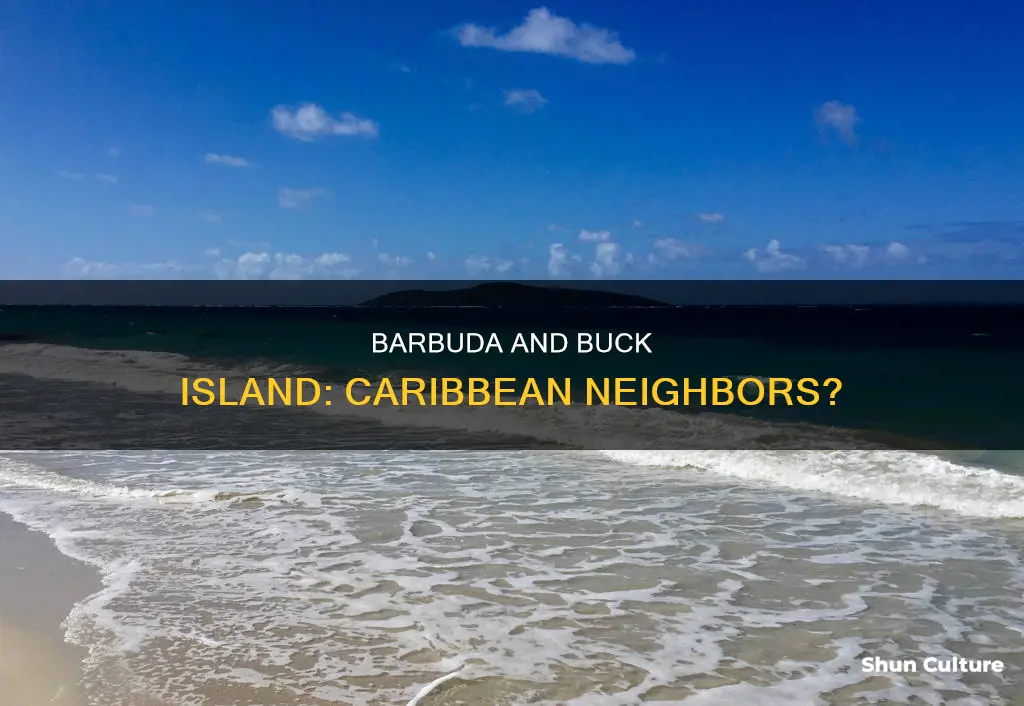 is barbuda near buck island