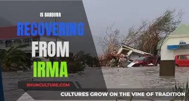 Barbuda's Recovery from Hurricane Irma: A Resilient Island's Journey