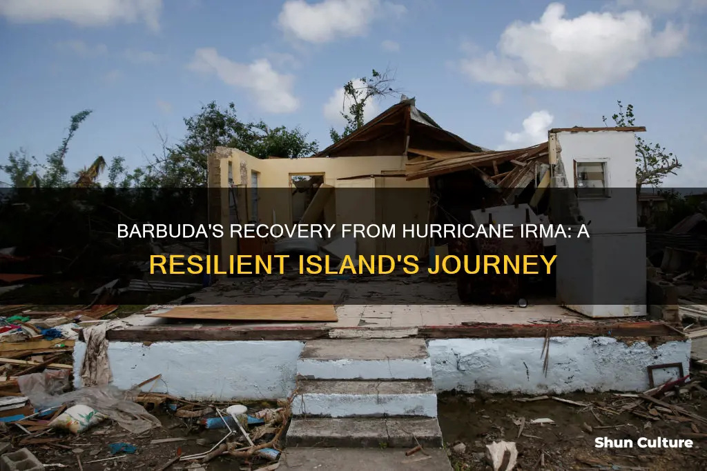 is barbuda recovering from irma