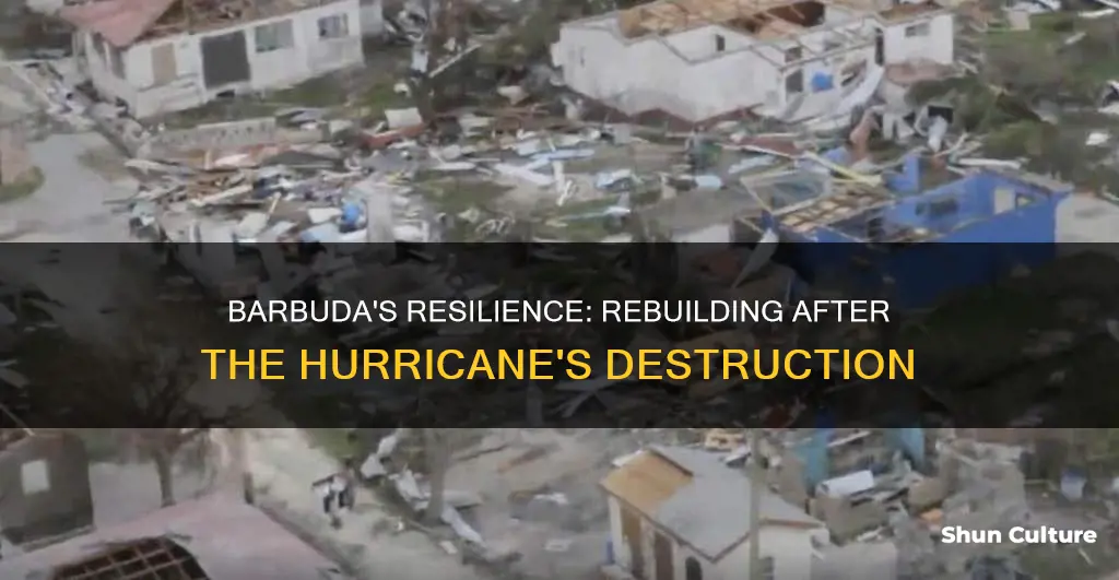 is barbuda repaired after hurrricane