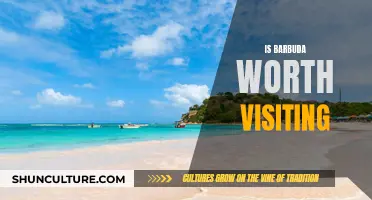 Barbuda: A Tropical Paradise Worth Exploring?