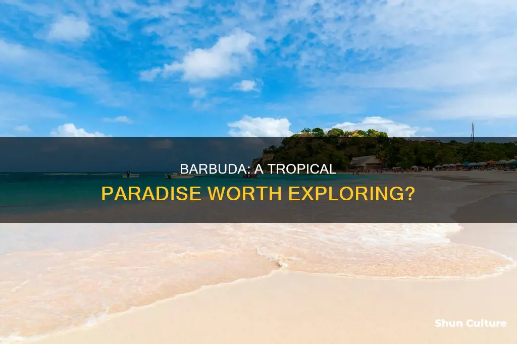 is barbuda worth visiting