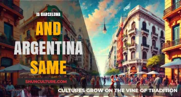 Exploring Cultural Ties: Barcelona and Argentina - A Comparative Insight