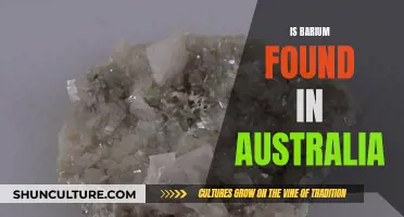 Barium Deposits in Australia: Where and How Much?