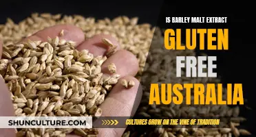 Barley Malt Extract: Is It Gluten-Free in Australia?
