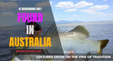 Barramundi: Australia's Native Fish, Found Elsewhere?