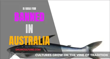 Basa Fish: Australia's Ban Explained