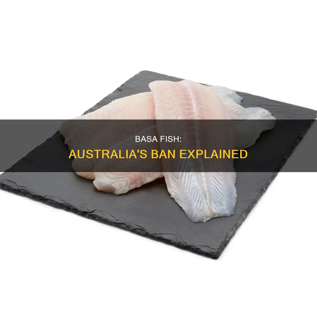 is basa fish banned in australia