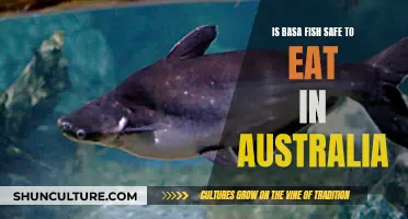 Basa Fish in Australia: Safe Eating?