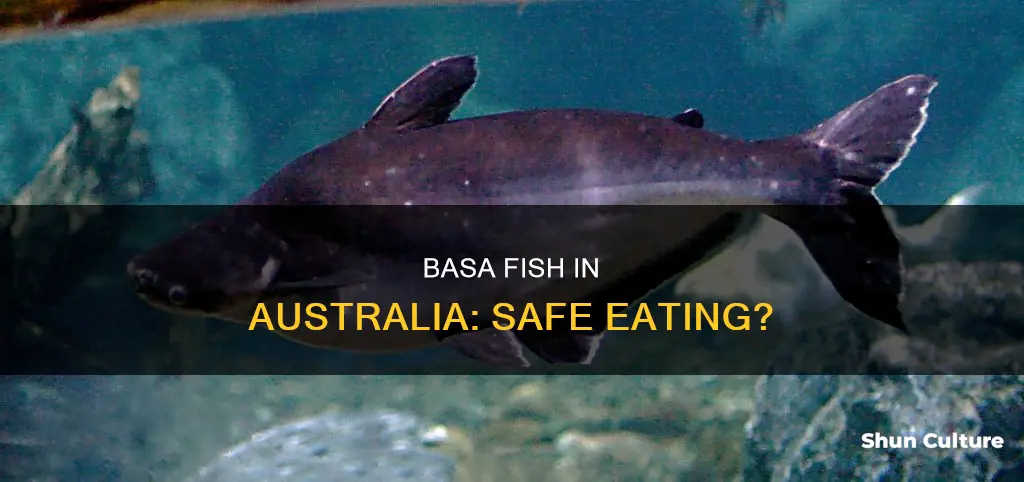 is basa fish safe to eat in australia