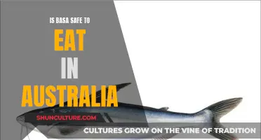 Basa Fish in Australia: Safe Eating or Health Risk?