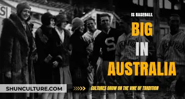 Baseball in Australia: A Popular Sport?
