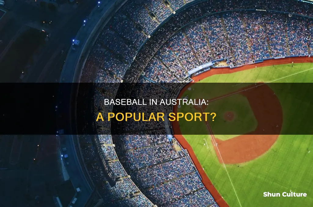 is baseball big in australia