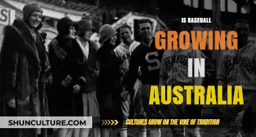 Baseball's Growth in Australia: A New Innings Down Under