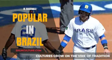 Exploring Brazil's Love for Baseball: A Cultural Perspective