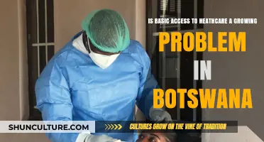 Botswana's Healthcare Crisis: Is Basic Access Becoming an Unattainable Right?