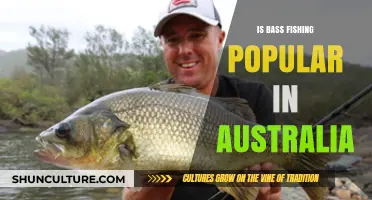Bass Fishing: Australia's Favorite Pastime?